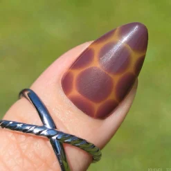 Amber Shell Press On Nails - Short Almond