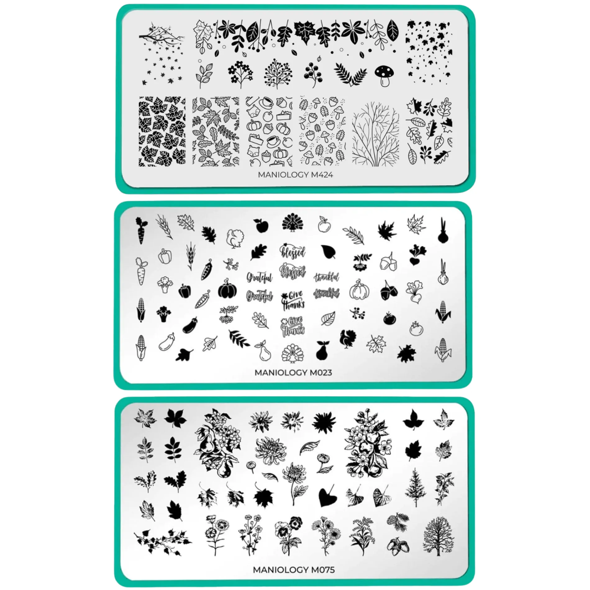 Autumn Harvest: Set of 3 Nail Stamping Plates