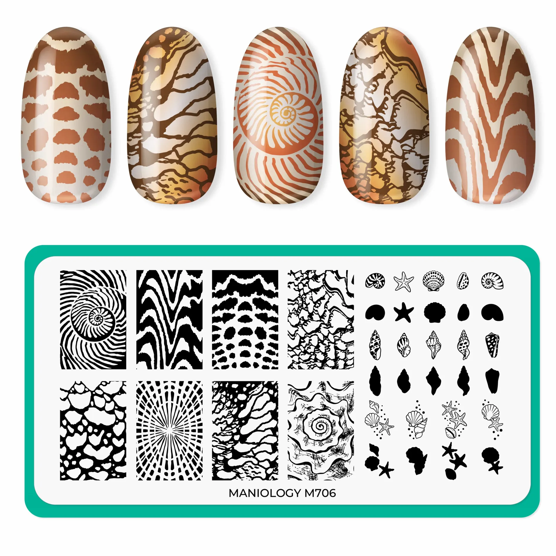 Beachcomber: Nail Stamping Starter Kit