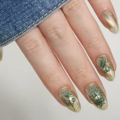 Chrysanthemum Blossoms (M664) - Nail Stamping Plate