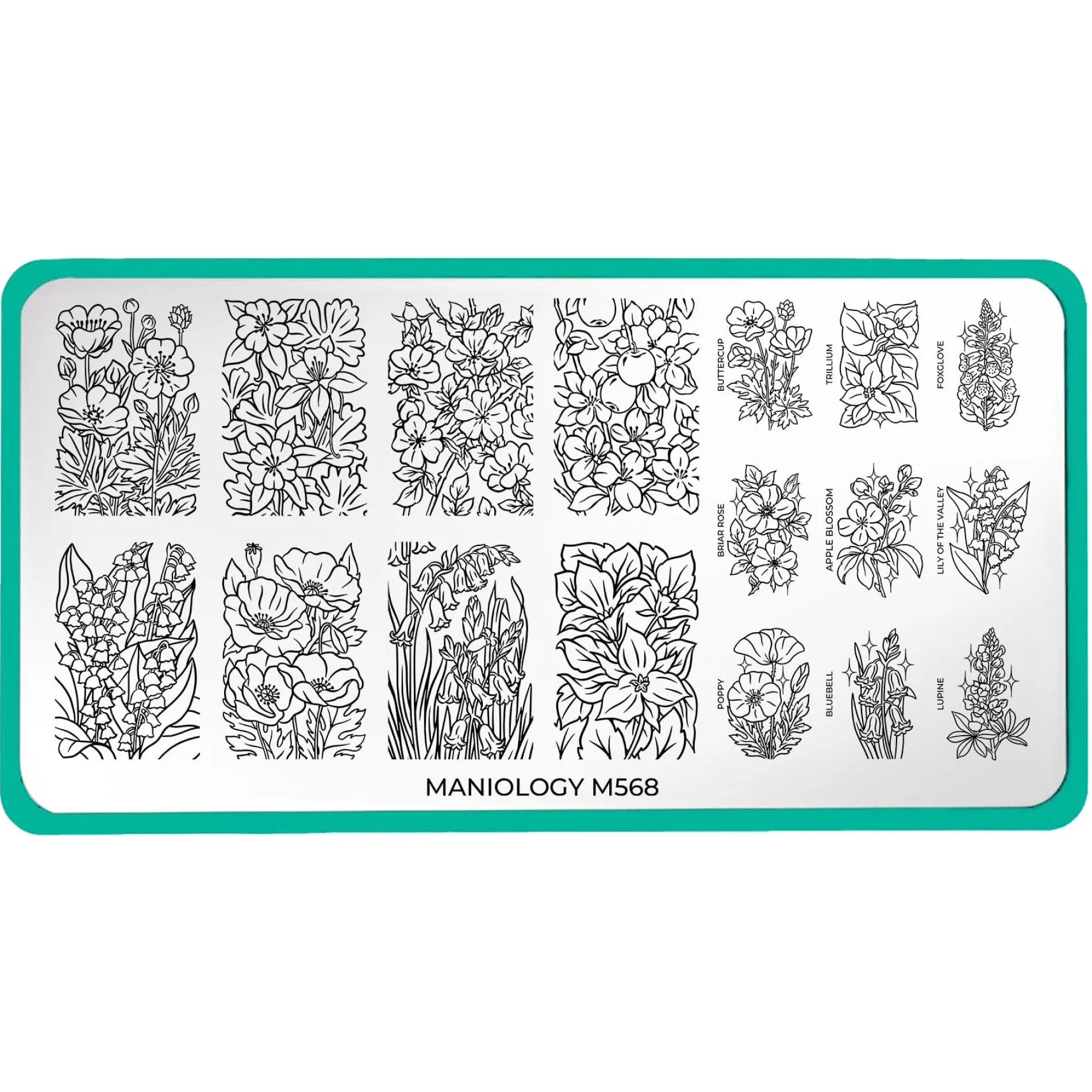 Floral Fantasy (M568) - Nail Stamping Plate