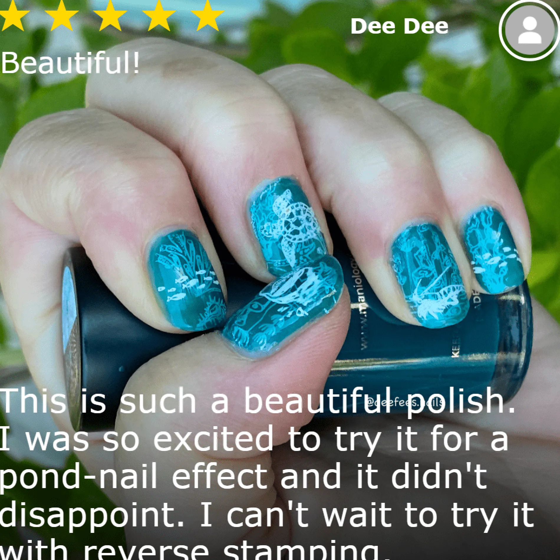 Glass (B371) - Sheer Tint Teal Green Stamping Polish