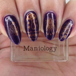 Gloom (B404) - Duochrome Purple Stamping Polish