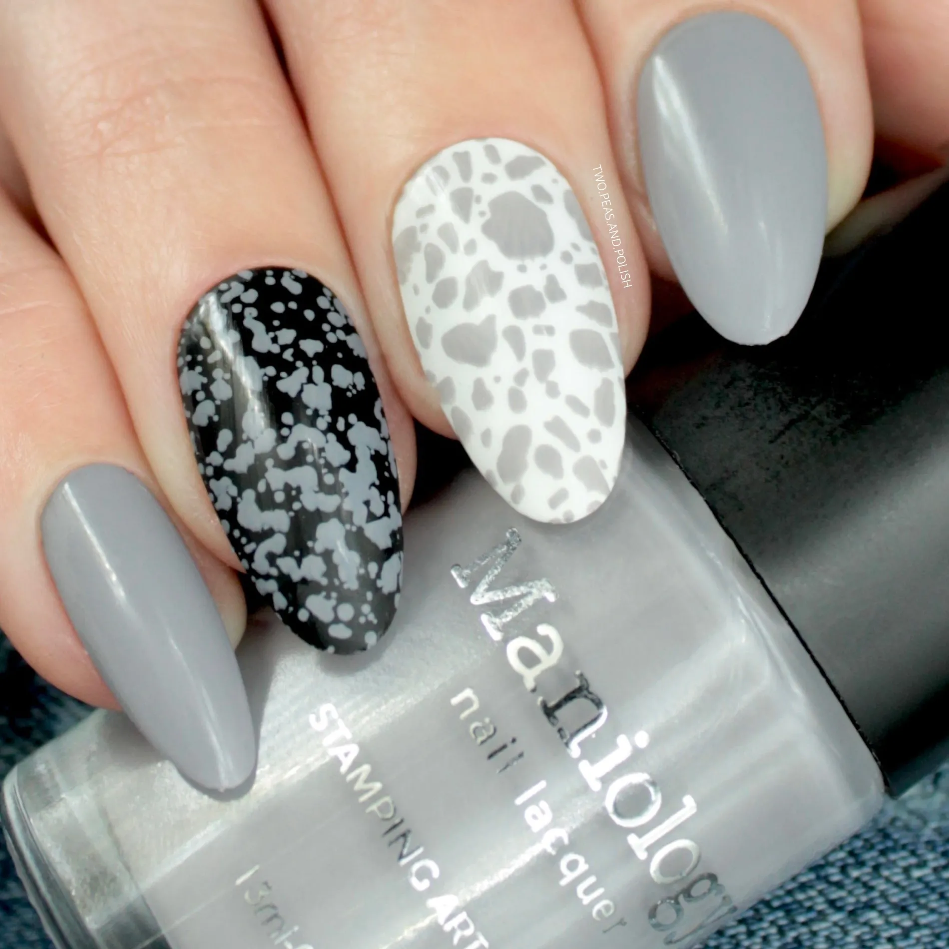 Grey Joy (B181) - Gray Creme Stamping Polish