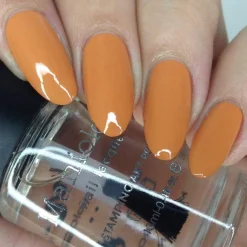 Hatha (B398) - Cream Orange Stamping Polish