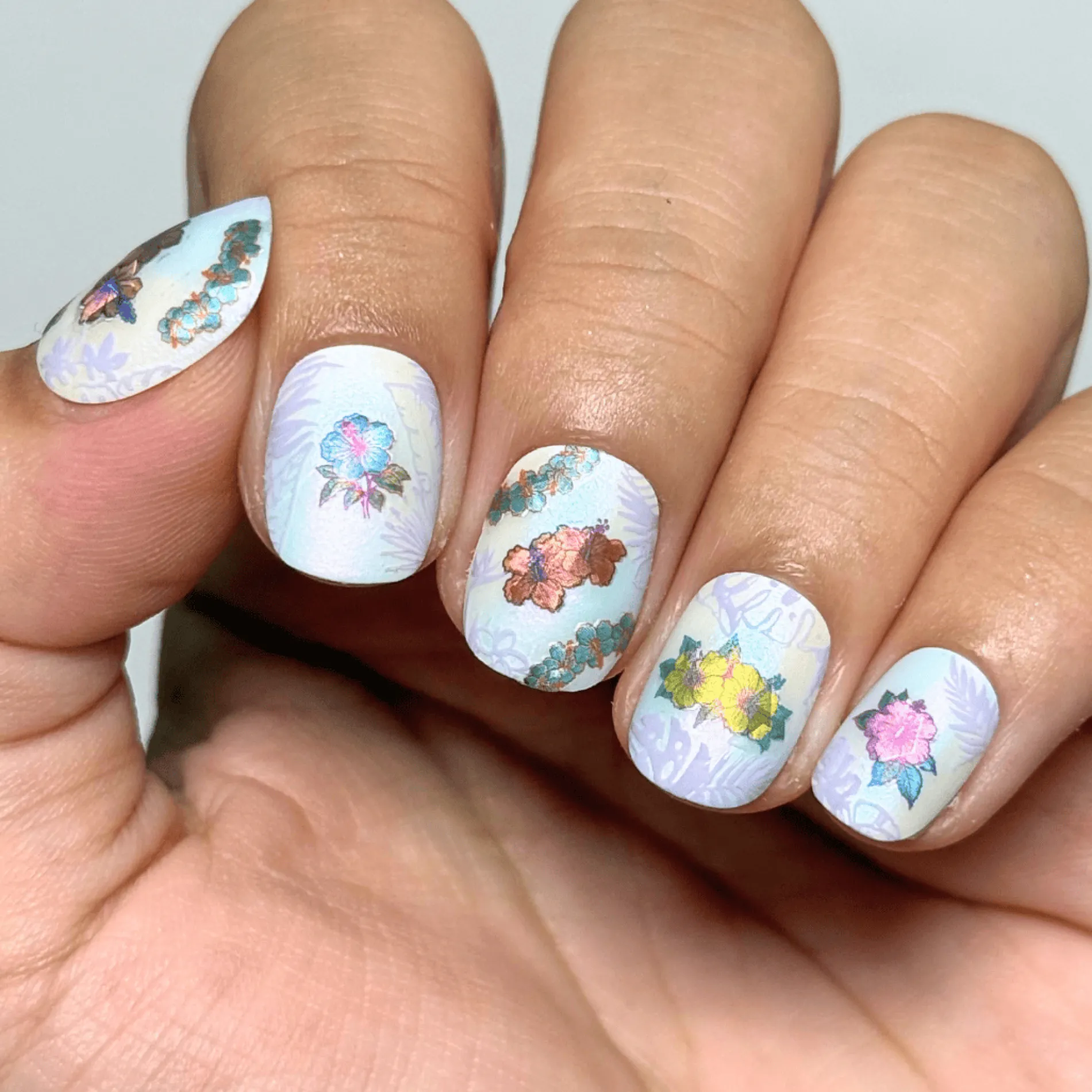 Island Hibiscus (MS-133) - Nail Art Sticker