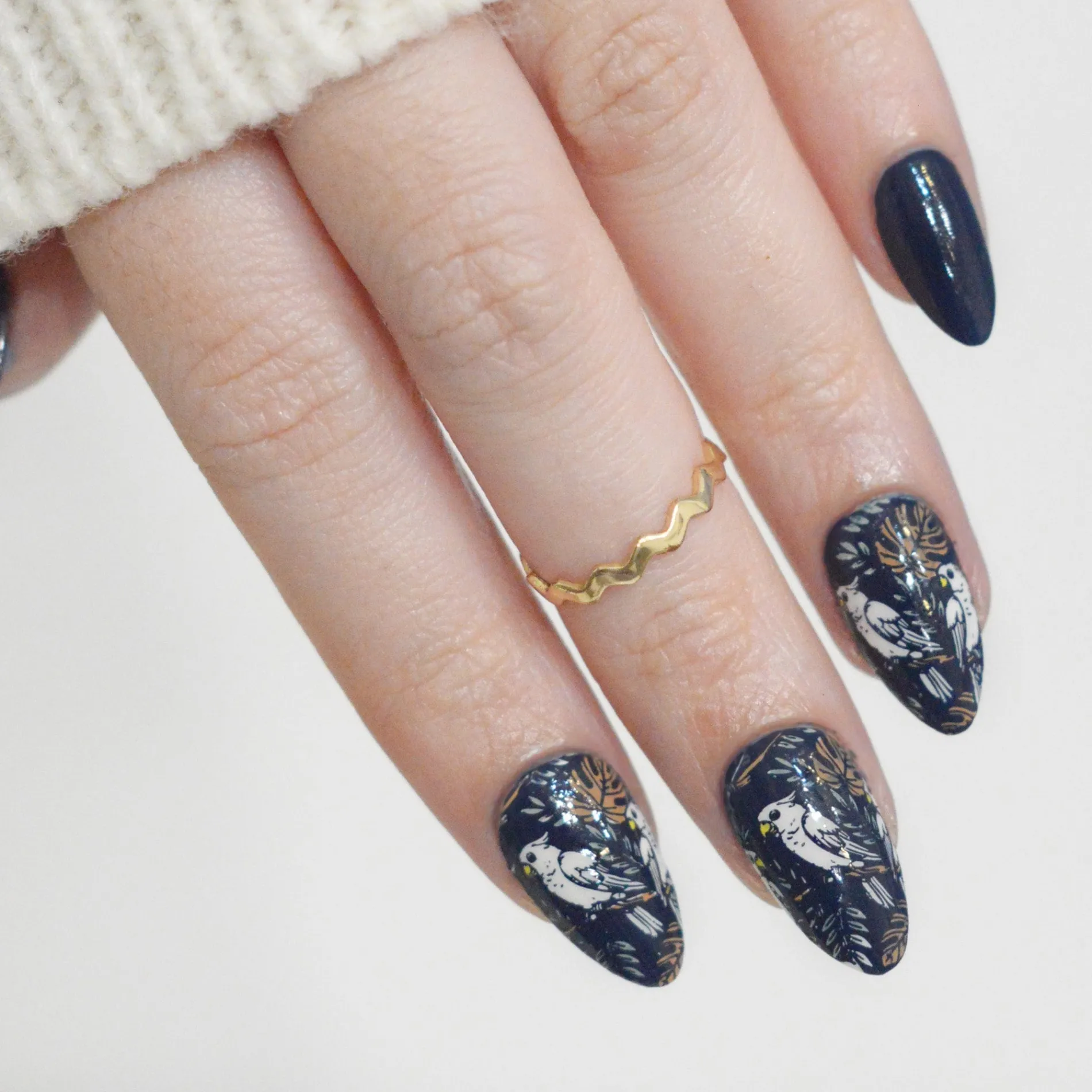 Jungle Secrets (M613) - Nail Stamping Plate