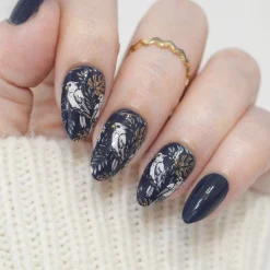 Jungle Secrets (M613) - Nail Stamping Plate