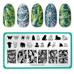 Jungle Secrets (M613) - Nail Stamping Plate