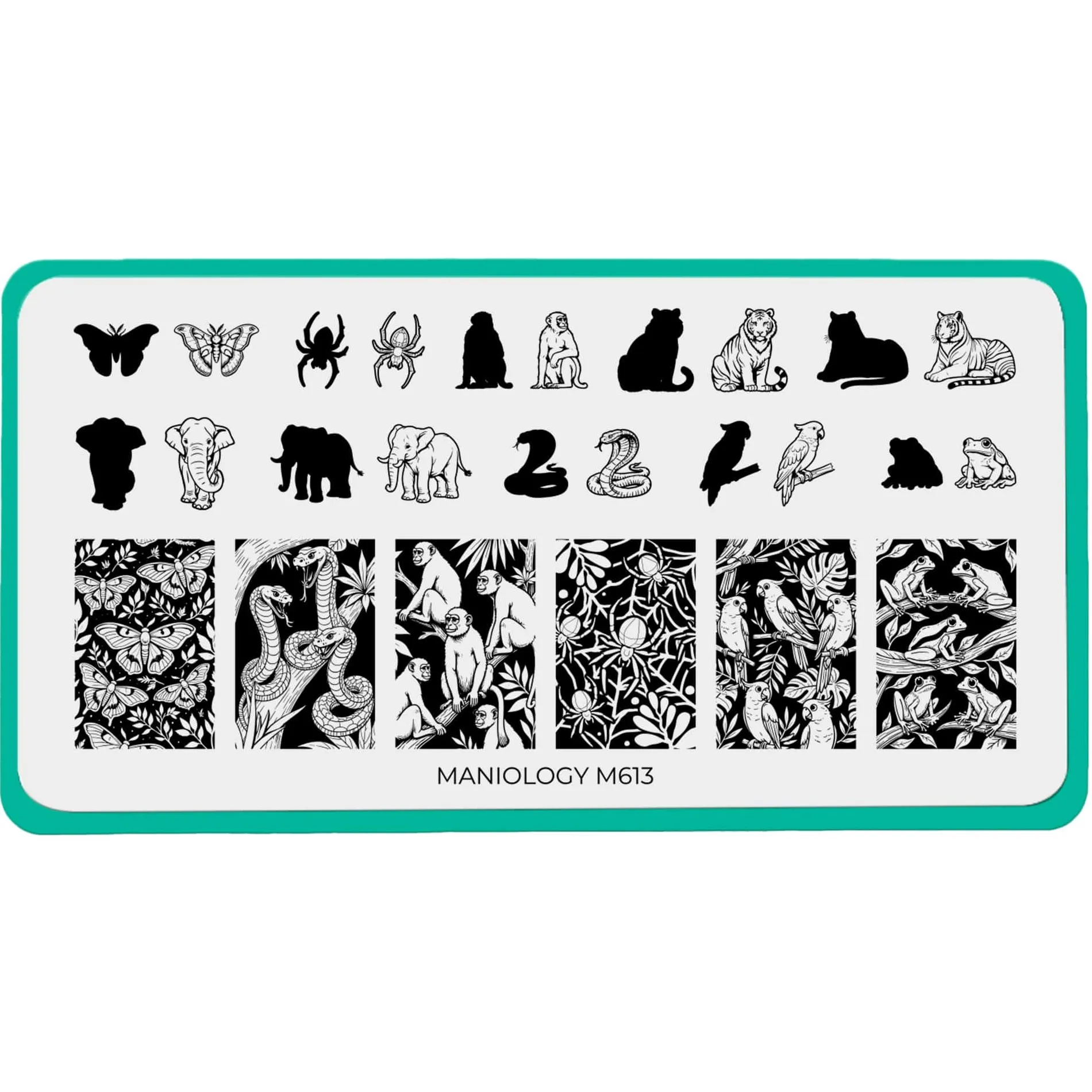 Jungle Secrets (M613) - Nail Stamping Plate