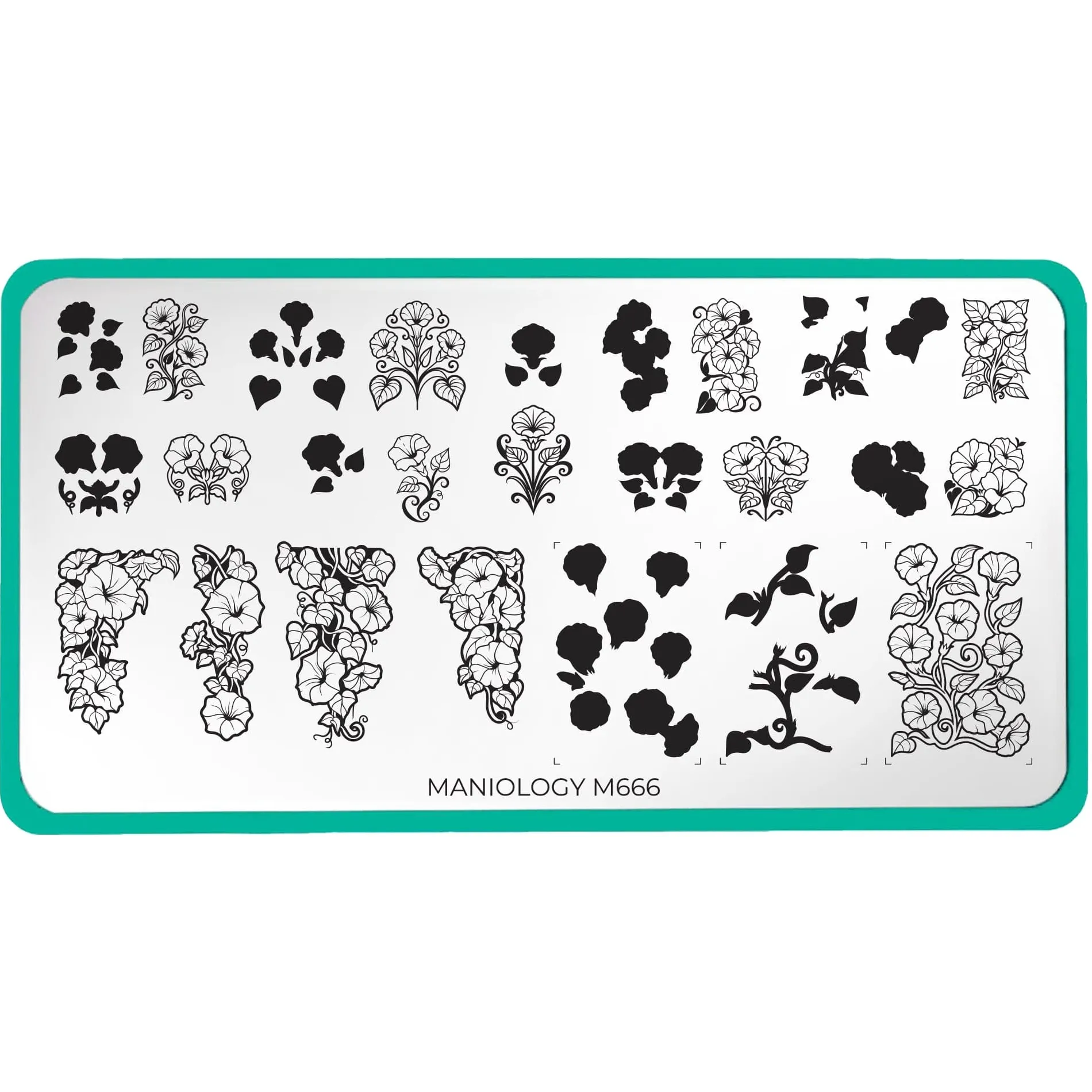 Morning Glory (M666) - Nail Stamping Plate
