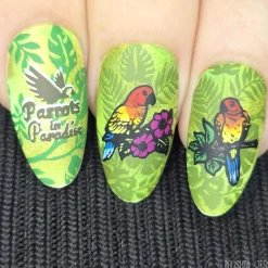 Parrots in Paradise Sanctuary (M624) - Nail Stamping Plate