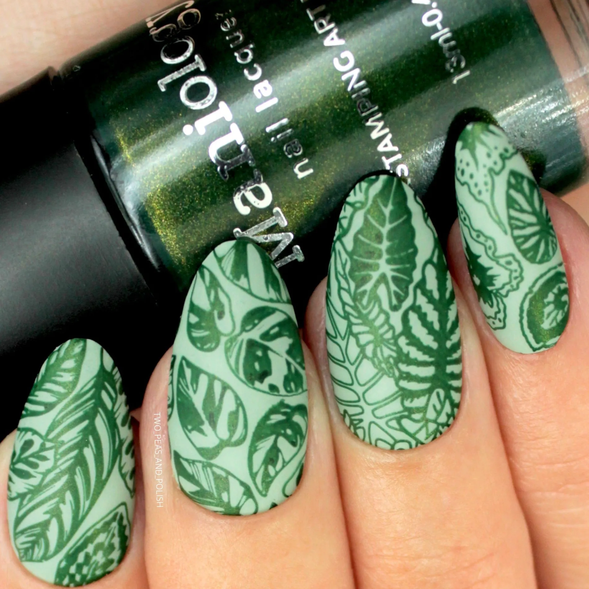 Perfect Trio: 3-Piece Desert Dwellers Nail Stamping Polish Set