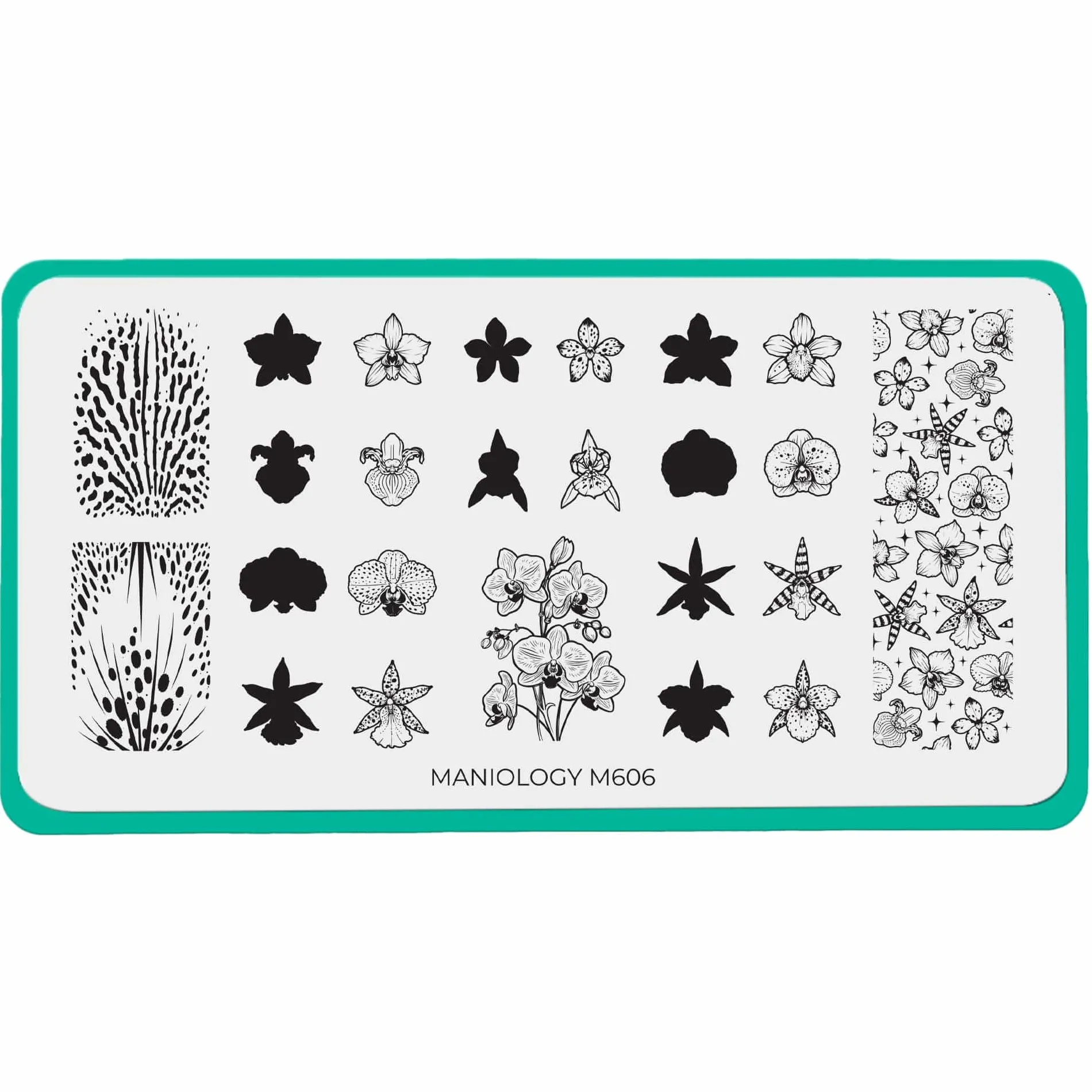 Poised Petals (M606) - Nail Stamping Plate