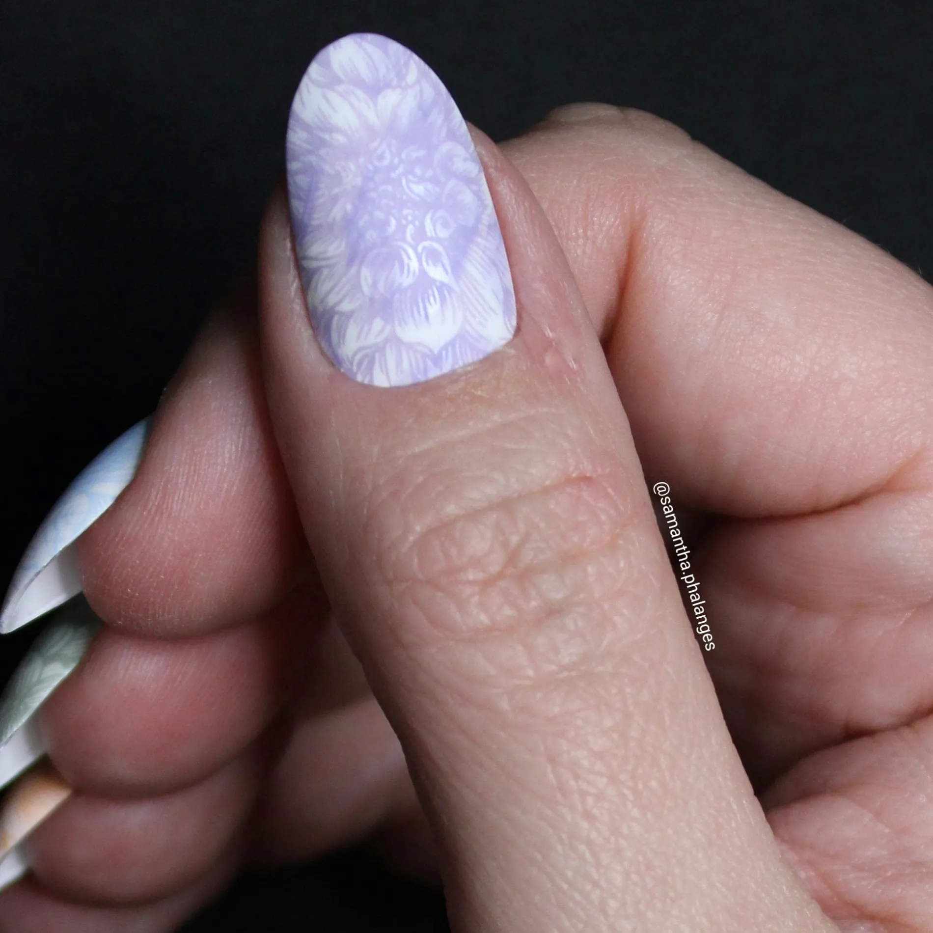 Pretty Petals (M571) - Nail Stamping Plate