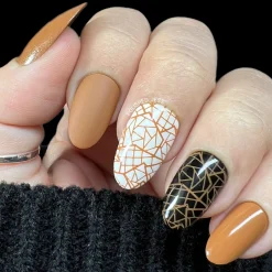 SFAC - Grateful Peoples Nail Stamping Bundle