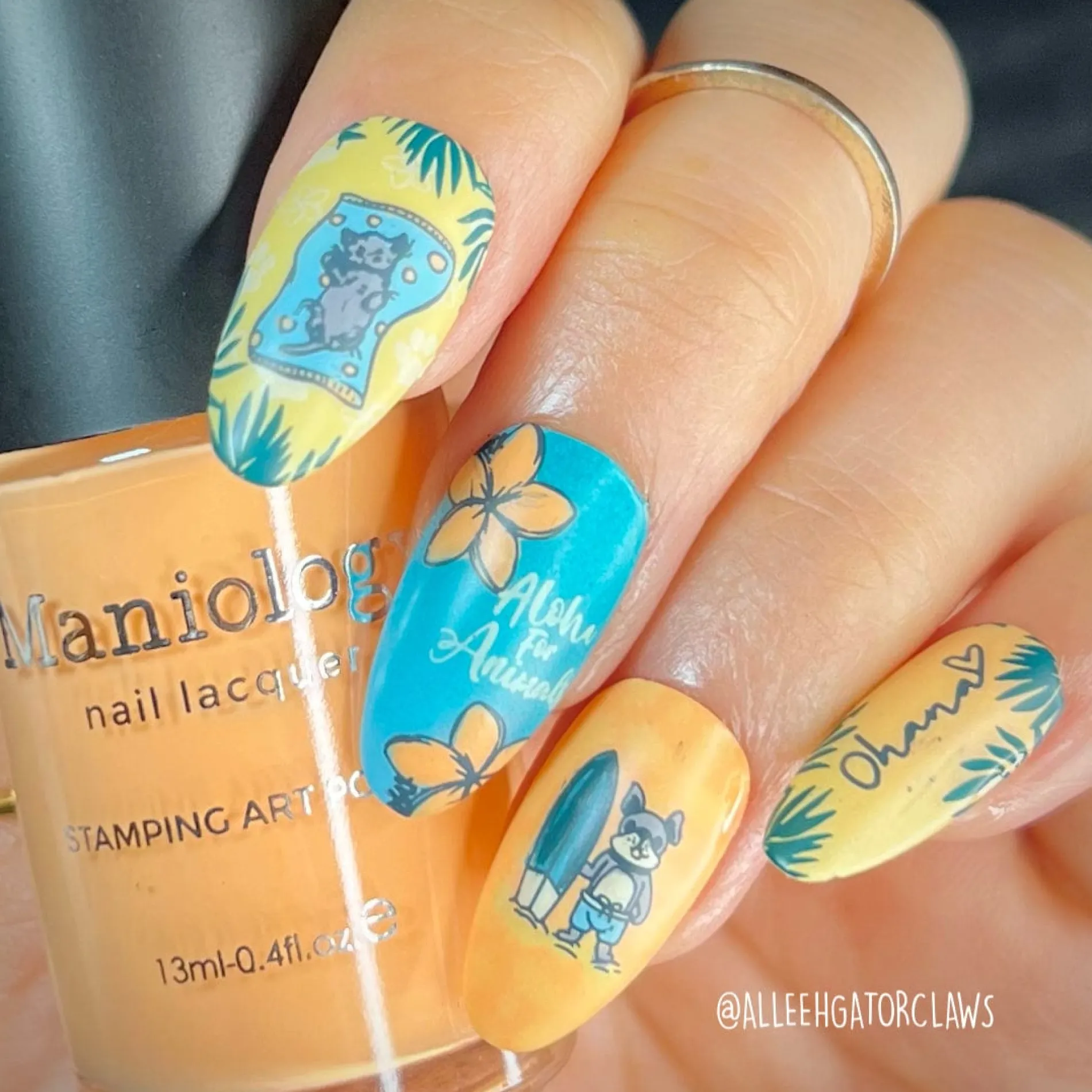 SFAC - Kauai Humane Society Nail Stamping Bundle