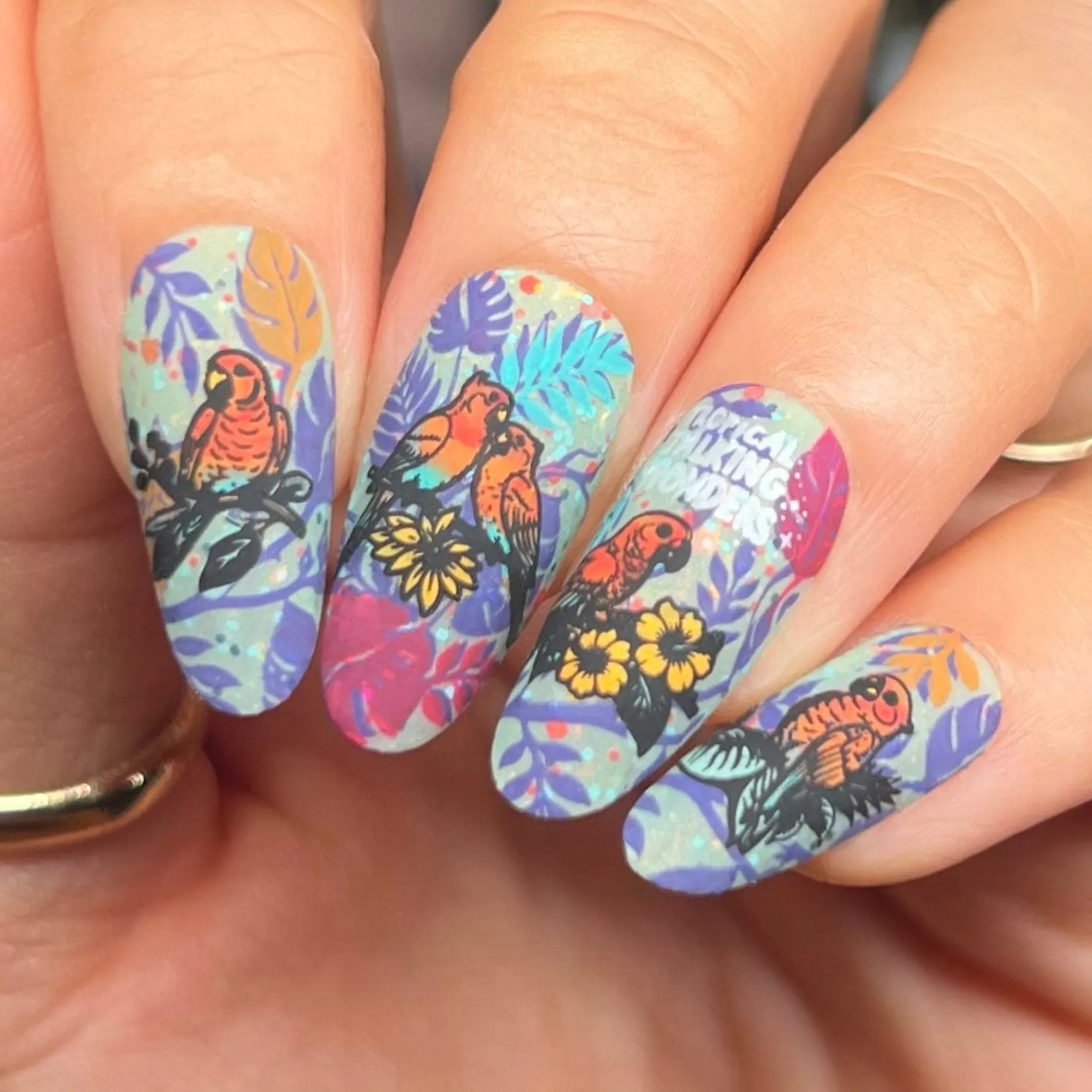 SFAC - Parrots in Paradise Nail Stamping Bundle