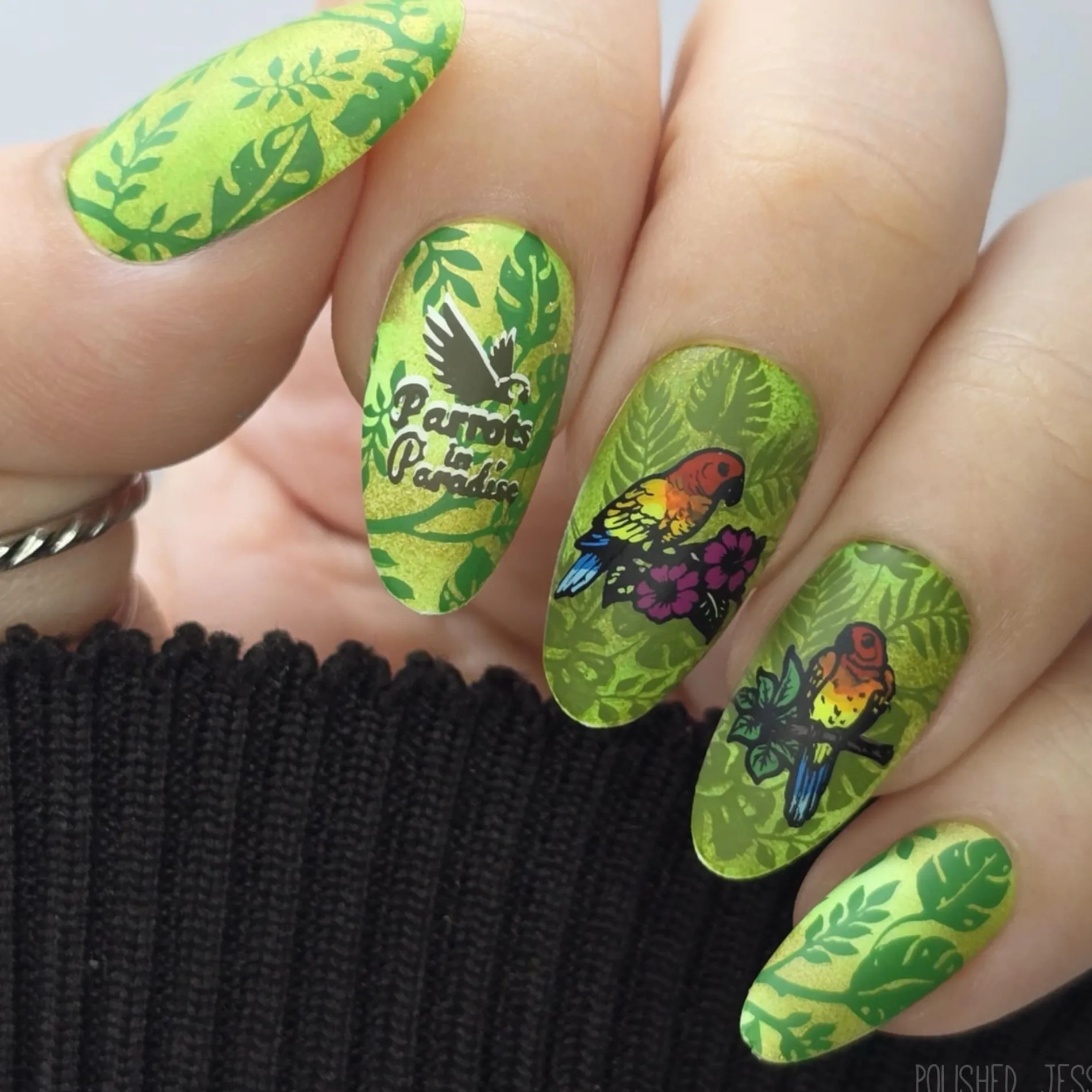 SFAC - Parrots in Paradise Nail Stamping Bundle
