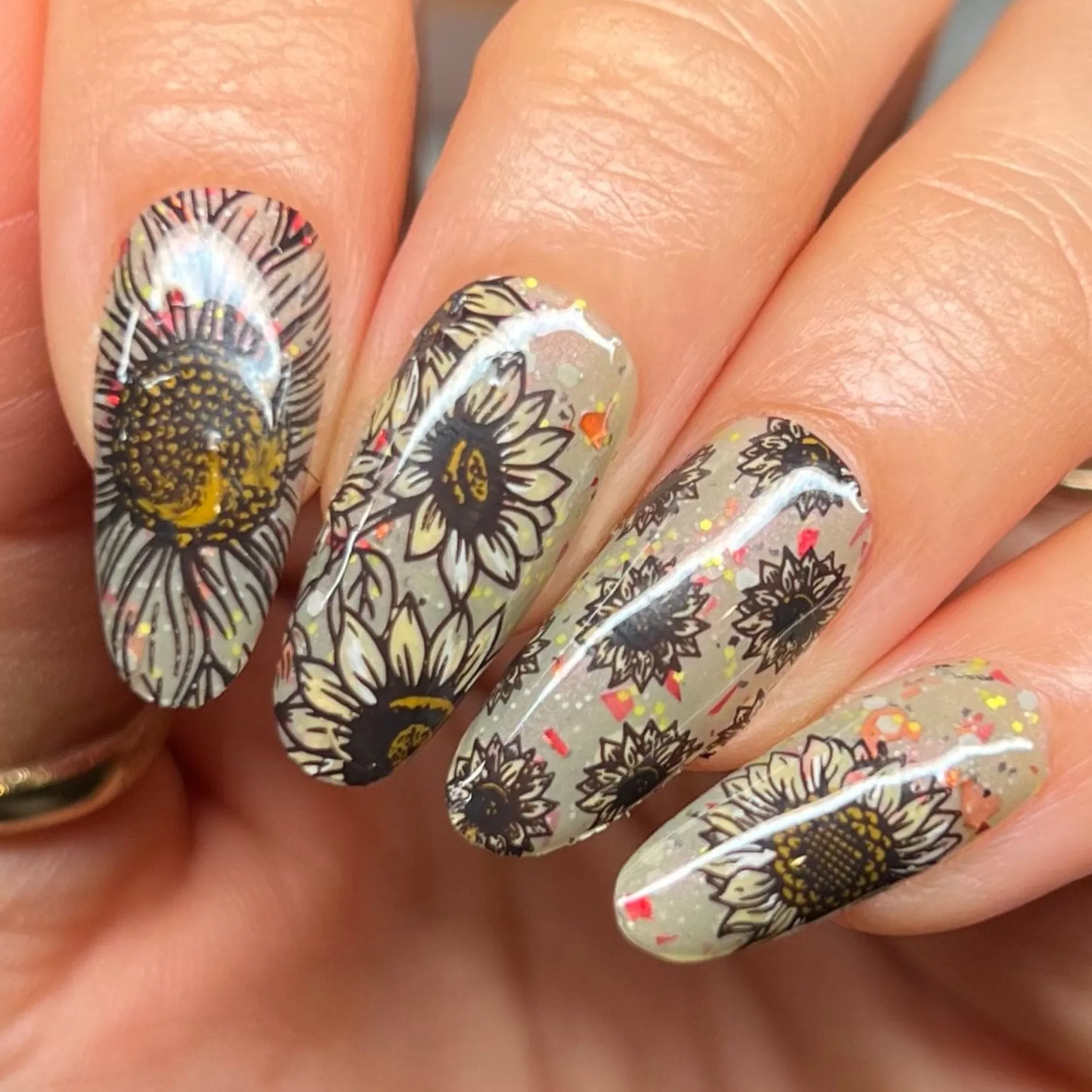 Sunflower Fields (M602) - Nail Stamping Plate
